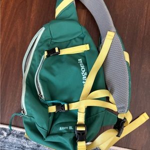 Patagonia Crossbody